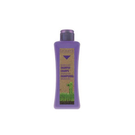 Biokera Grapeology - shampoo Salerm - 1