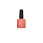 Shellac nail polish - SPEAR CND - 1