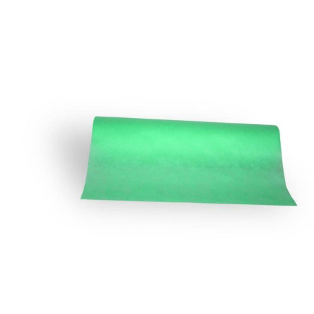 BEDSHEETS NONWOVEN GREEN 60cm x 50m Beautyforsale - 1