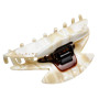 Medium size regular shape hair jaw clip in Beige pearl Kosmart - 3