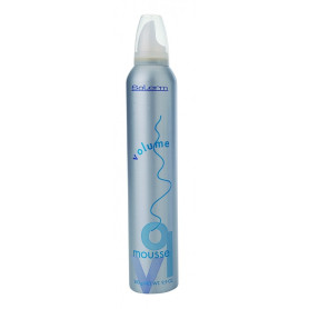 Volume Mousse The definition of volume Salerm - 1