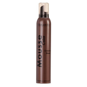 Color Mousse, 300 ml Salerm - 1