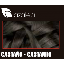 AZALEA COLOR TOUCH CHESTNUT Azalea - 2