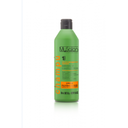 Dry/damaged shampoo MySalon - 1