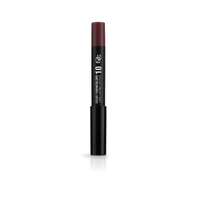 LIPSTICK SALERM 10 BURGUNDY Salerm professional makeup - 1