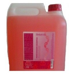 Salerm Pomegranate shampoo, 10000ml Salerm - 1