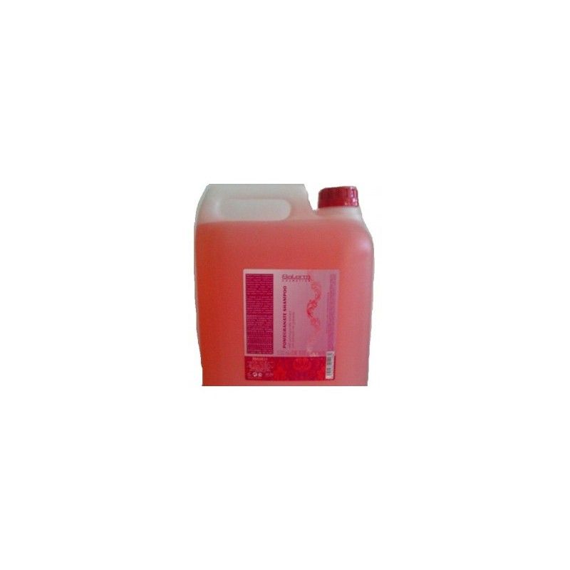 Salerm Pomegranate shampoo, 10000ml Salerm - 1