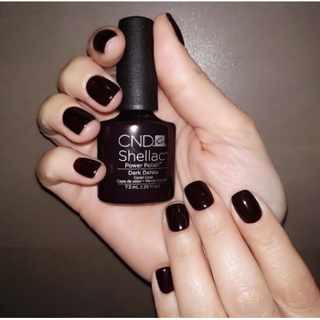 Shellac nail polish - DARK DAHLIA