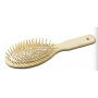 Cushion brush