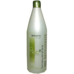 Shampoo Citric Balance 01 Salerm - 1