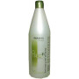 Salerm Citric Balance  Shampoo Salerm - 2