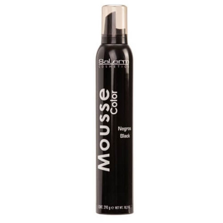 Color mousse, 300 ml Salerm - 1