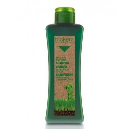 Oily hair shampoo - Lengvos tekstūros plaukų šampūnas, skirtas greitai susiriebaluojančių plaukų subtiliai priežiūrai Salerm - 1