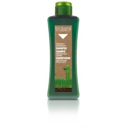 Anti - dandruff shampoo - Šampūnas pleiskanų turintiems plaukams Salerm - 1