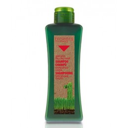 Shampoo specific hair regenerating - plaukų augimą skatinantis ir juos atstatantis šampūnas su ginkmedžio ekstraktu Salerm - 2