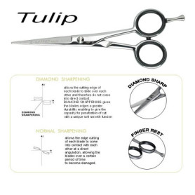 Парикмахерское SCISSROS TULIP SERIE Kiepe - 1